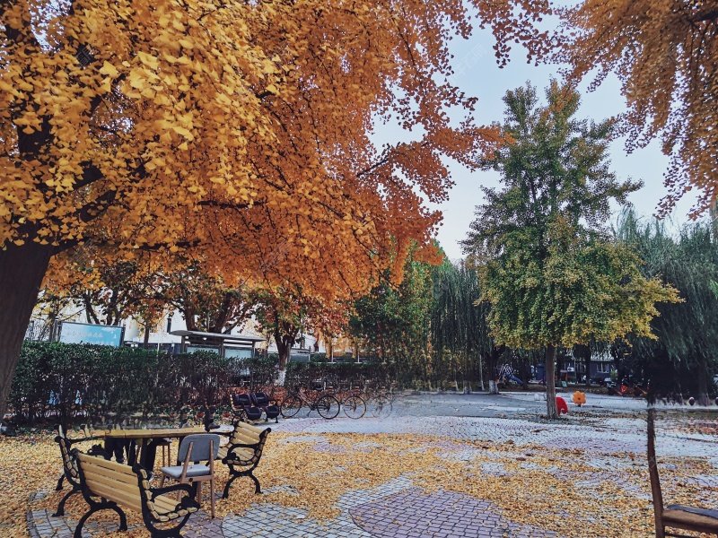 北京名流花园小区_名流花园小区null