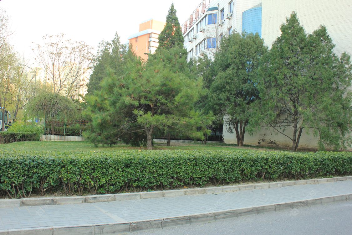 北京黑窑厂东街小区_黑窑厂东街小区null