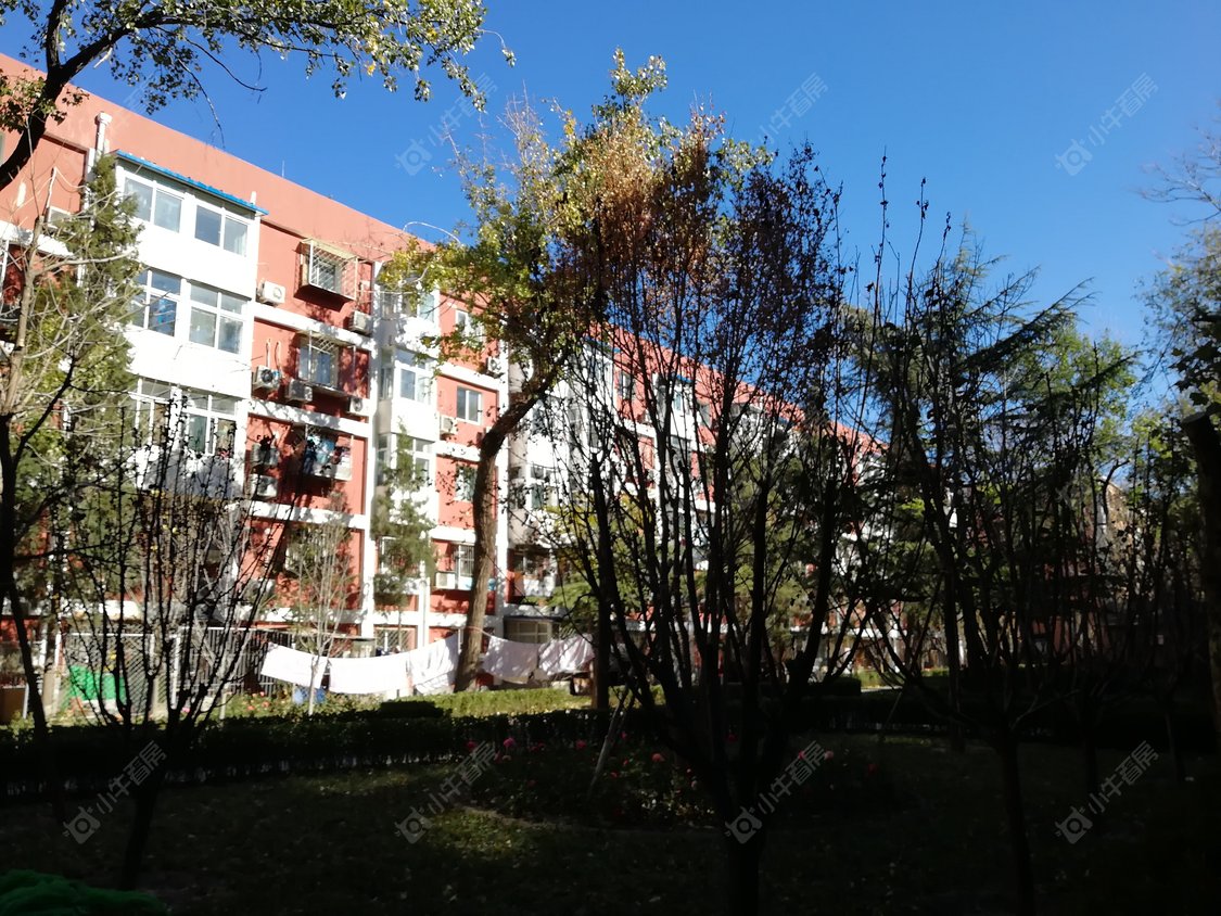 北京和平街十一区小区_和平街十一区小区null