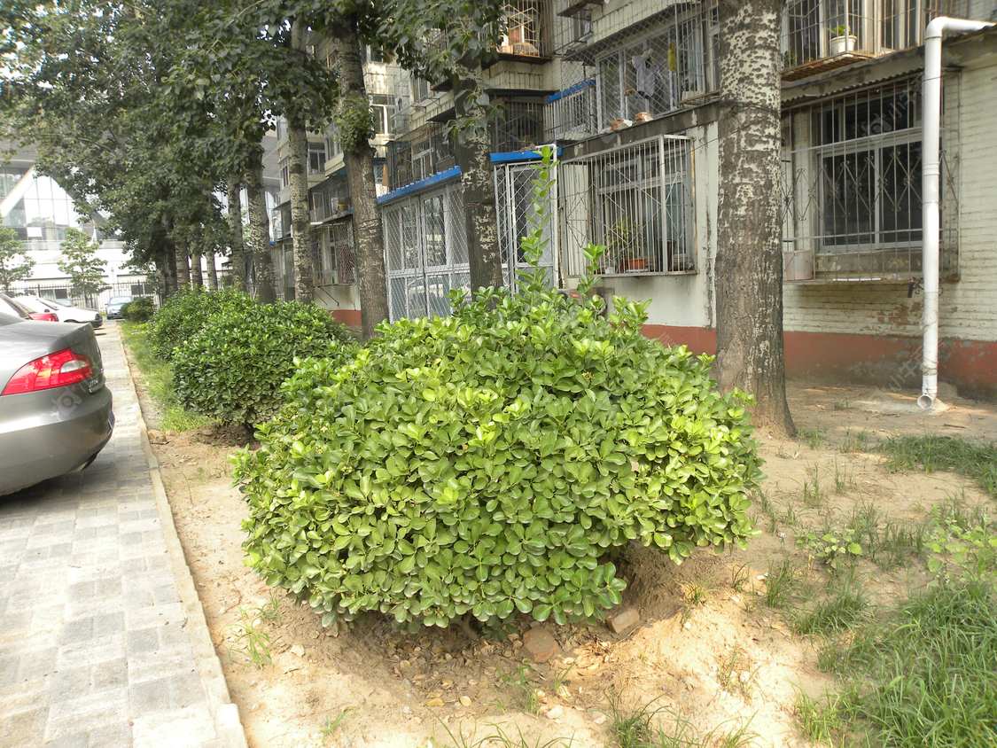 北京老山西街7号院小区_小牛看房