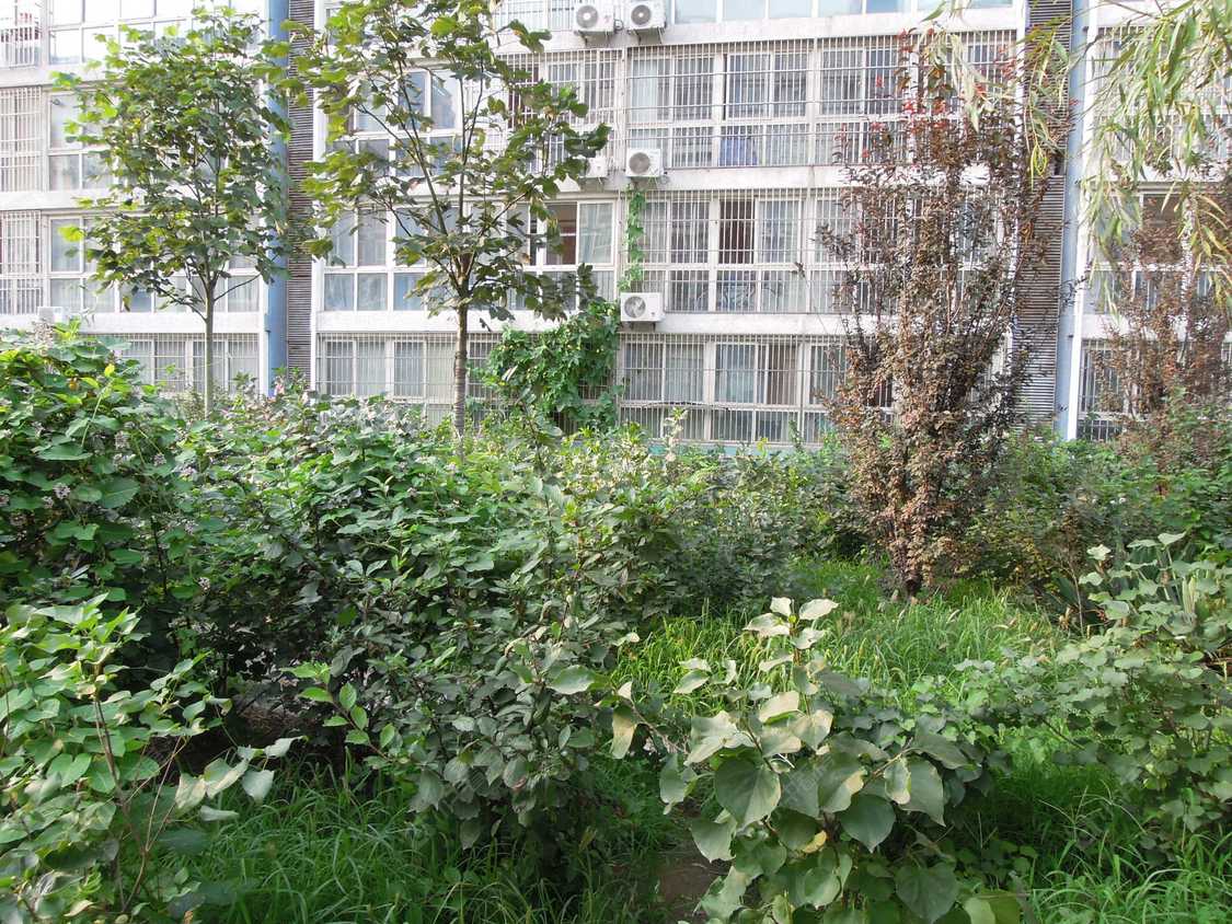北京神龙潼关一区小区_小牛看房