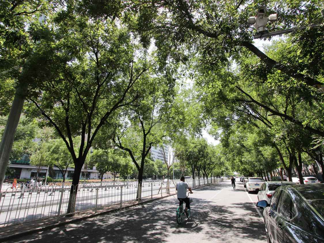 北京新中西里小区_小牛看房