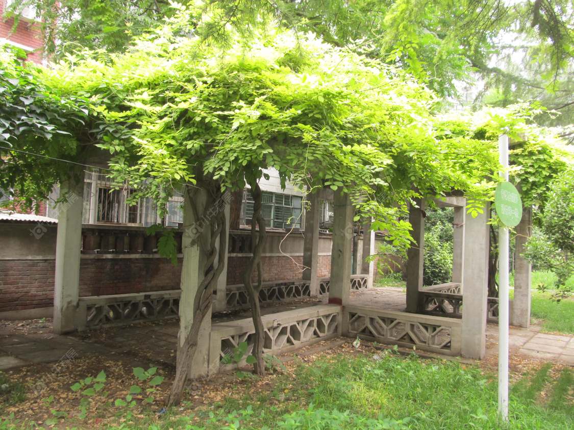 北京北京语言大学校内小区_小牛看房