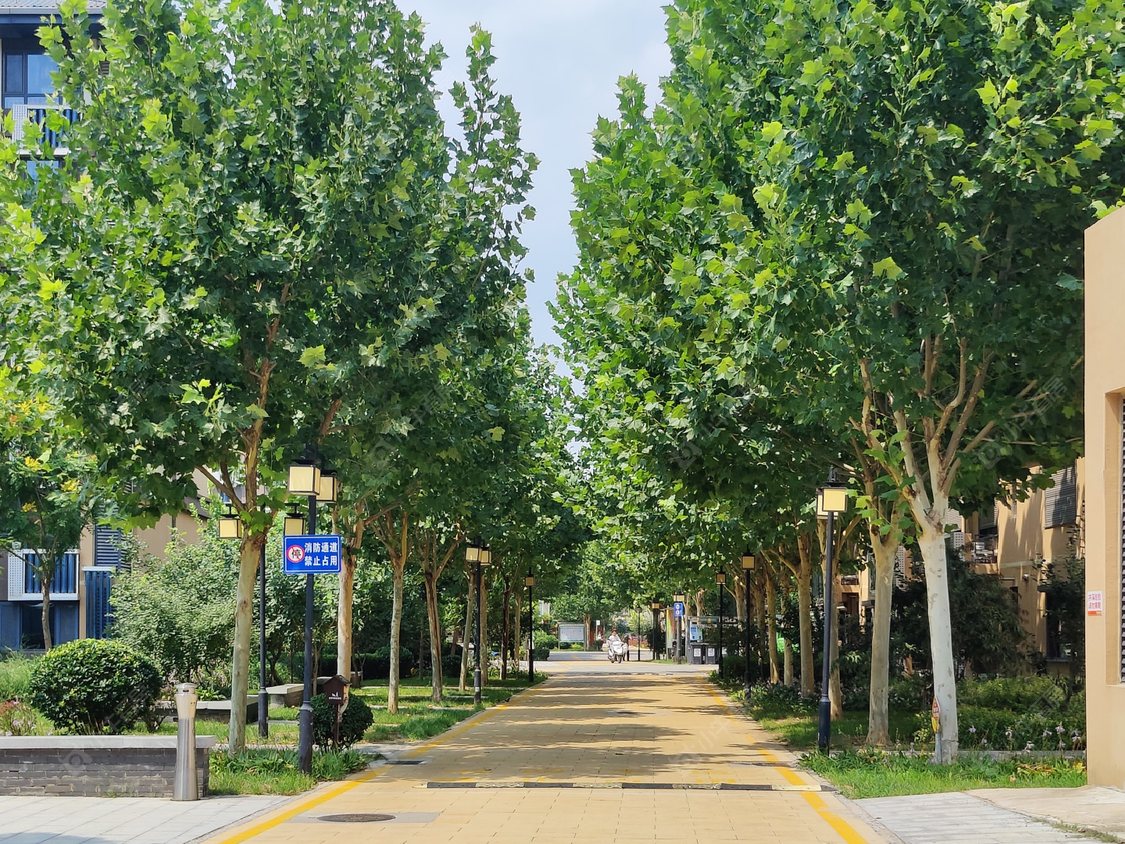 北京芳怡园小区_小牛看房