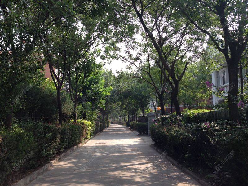 北京都市芳园定湖园小区_都市芳园定湖园小区null