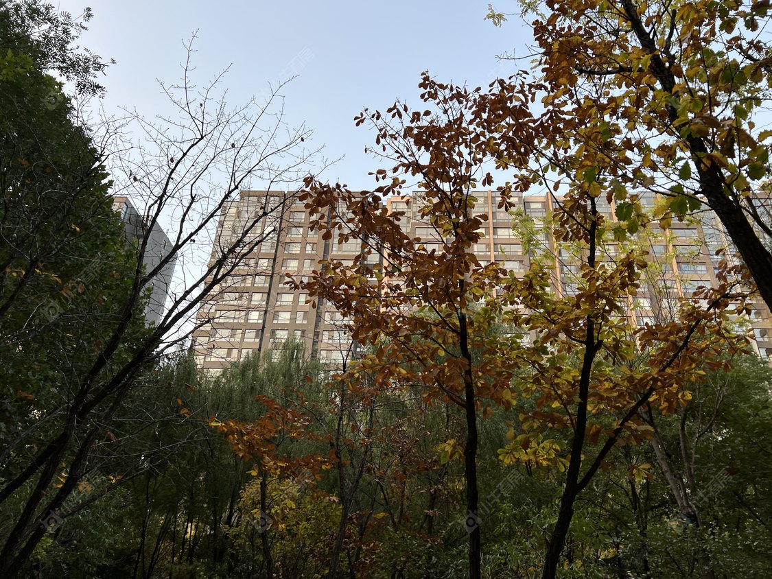 北京中信锦园小区_小牛看房