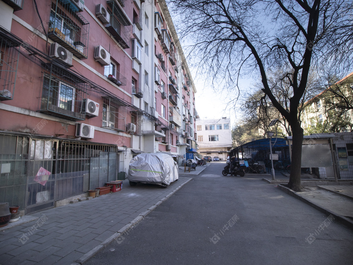 北京柏树胡同小区_柏树胡同小区null