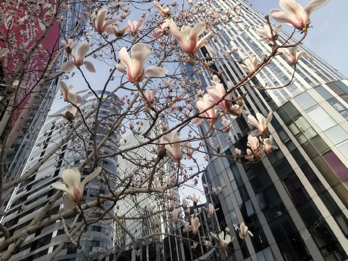 北京三里屯SOHO小区_三里屯SOHO小区null