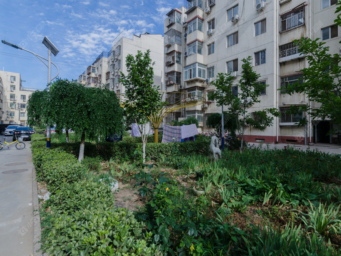 北京青春路小区_青春路小区null