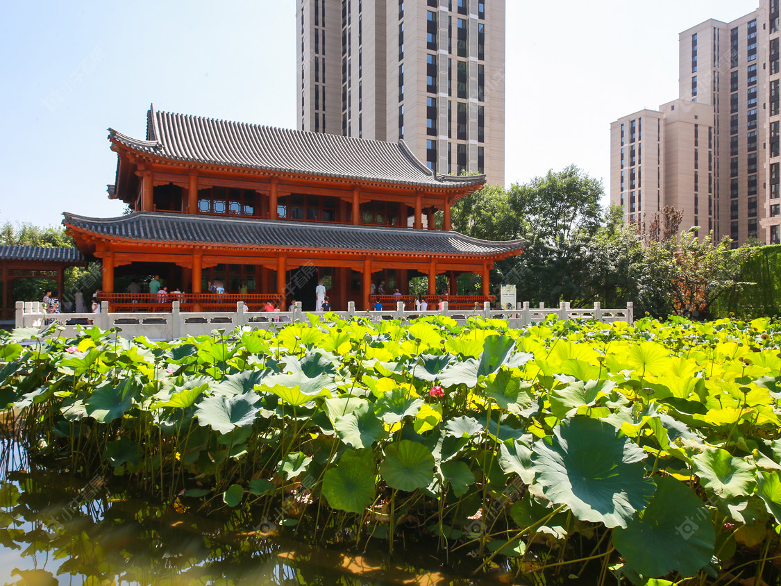 北京中堂小区_中堂小区null