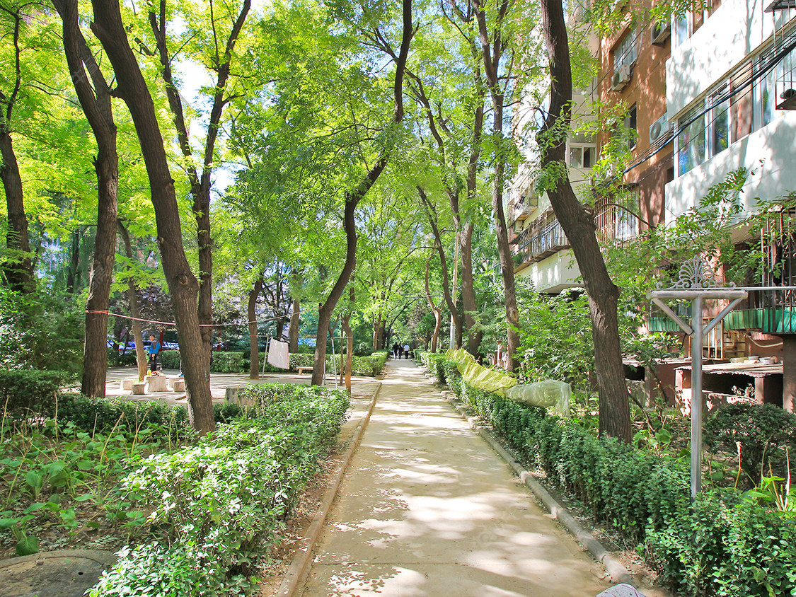北京西坝河南里小区_西坝河南里小区null