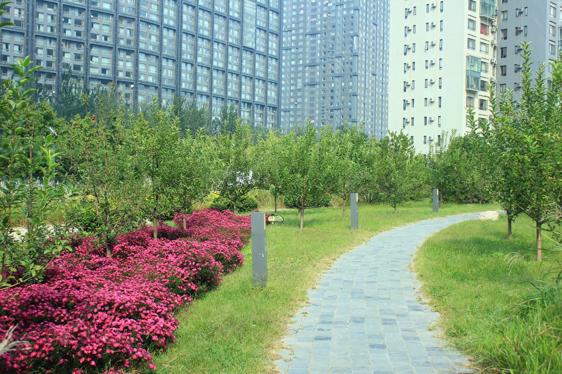 北京和桐丰园小区_和桐丰园小区null