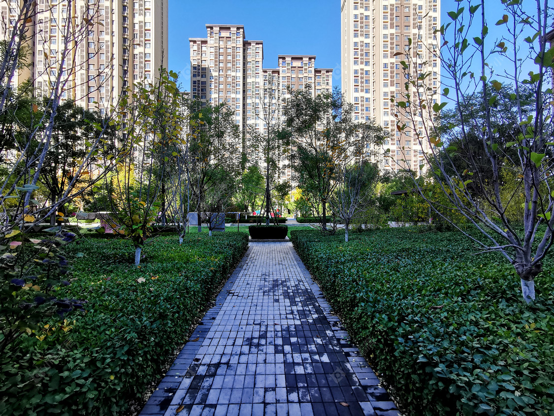 北京丁香苑小区_丁香苑小区null