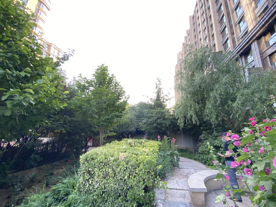 北京上东8号小区_上东8号小区null