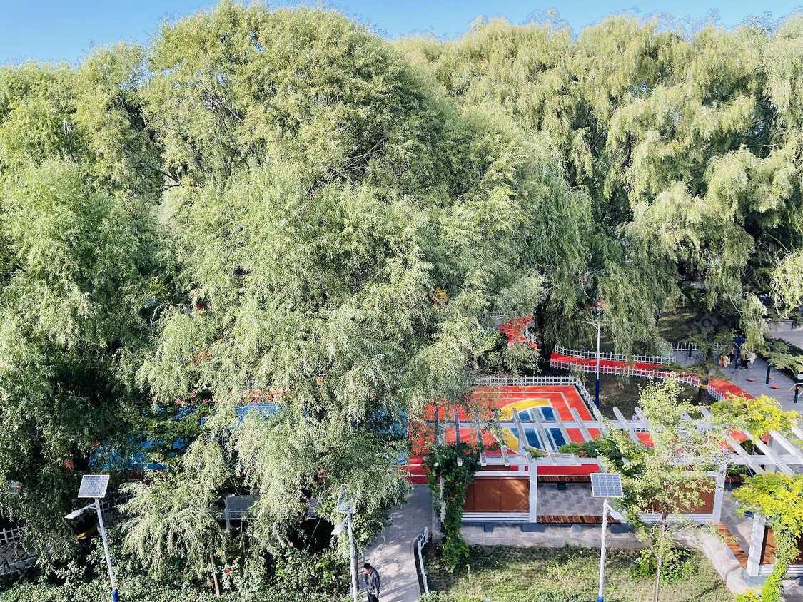 北京龙华园小区_龙华园小区null