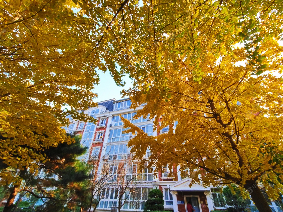 北京圆明园花园别墅小区_圆明园花园别墅小区null
