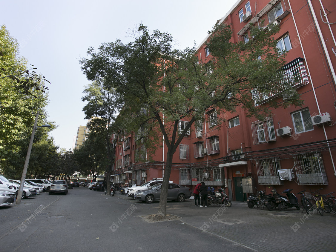 双榆树北里封面图_小牛看房