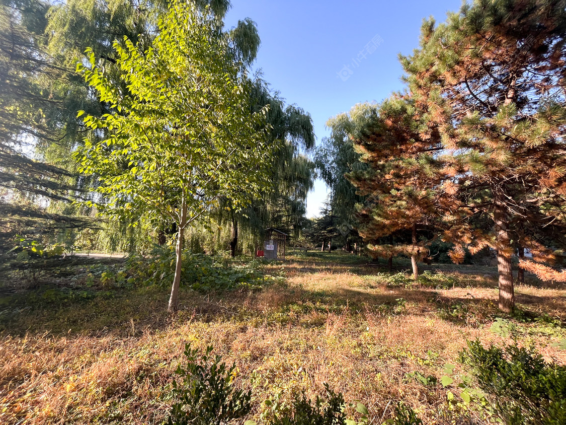 北京都市芳园碧湖园小区_都市芳园碧湖园小区null