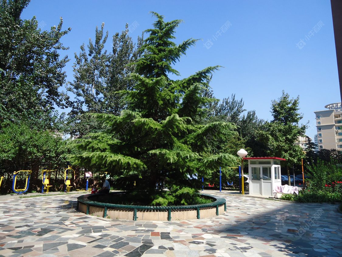 北京气象西苑小区_小牛看房