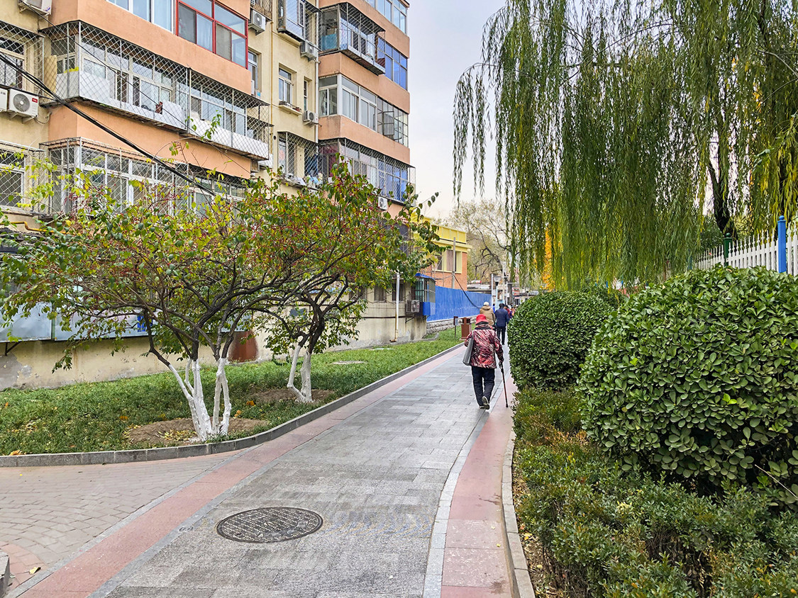 北京向东楼小区小区_向东楼小区小区null