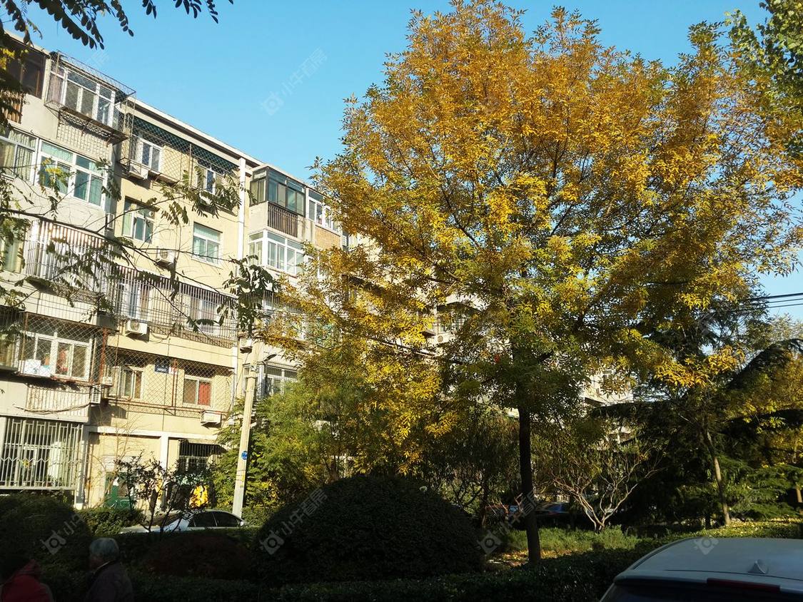 北京水碓子社区小区_水碓子社区小区null