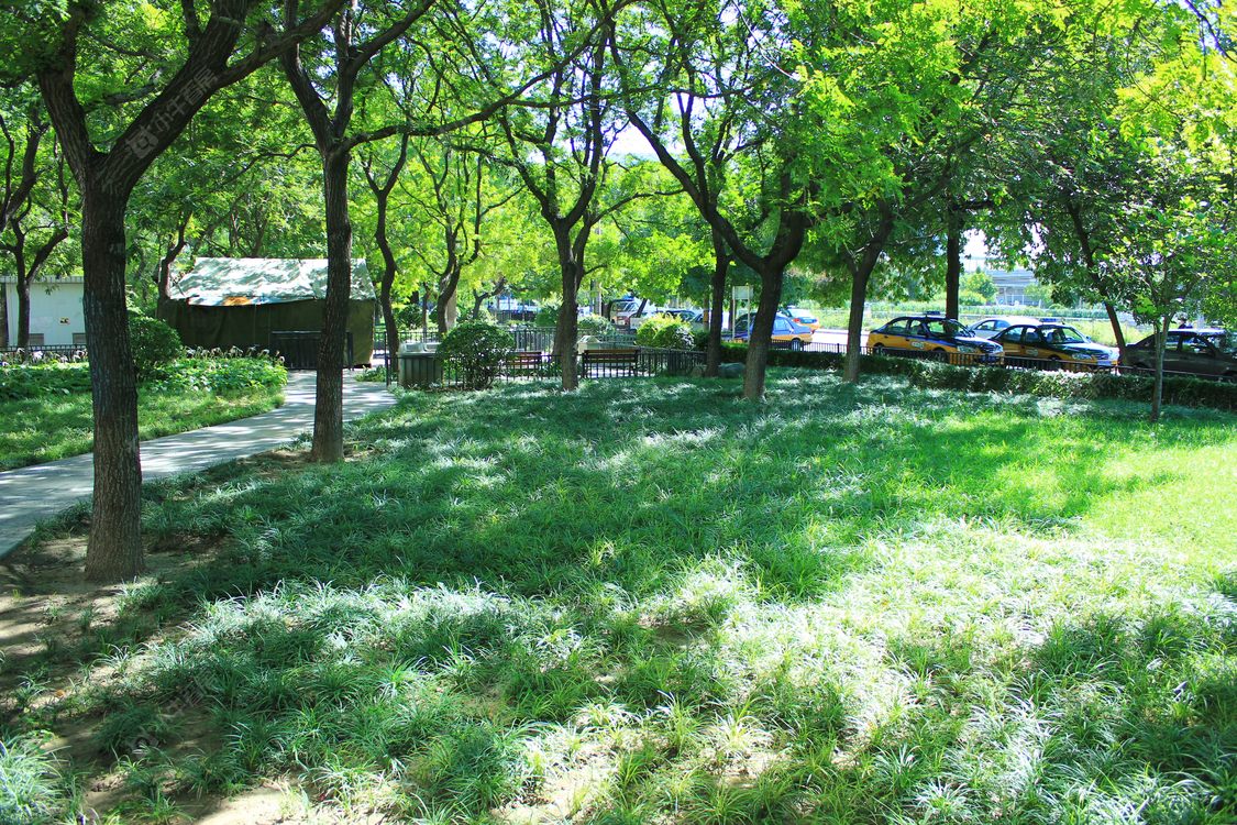 北京香河园街小区_香河园街小区null