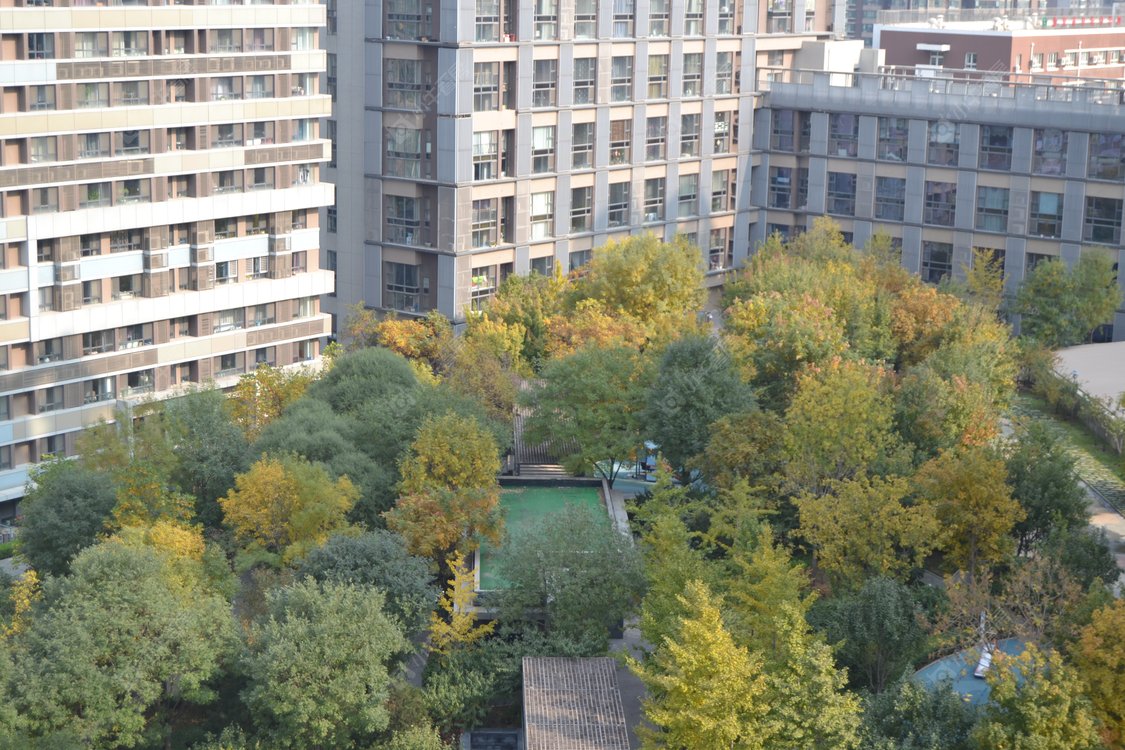 北京金地名京小区_金地名京小区null