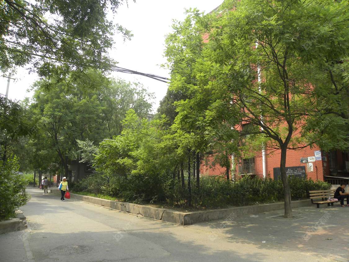 北京五里店南里小区_小牛看房