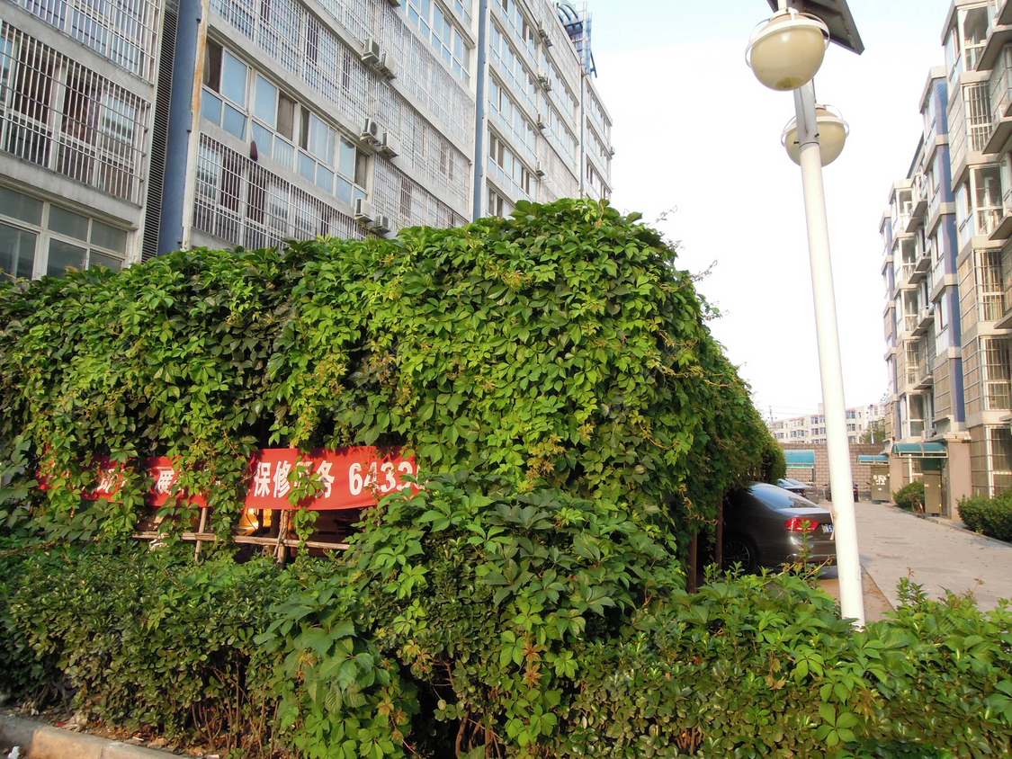 北京神龙潼关二区小区_小牛看房