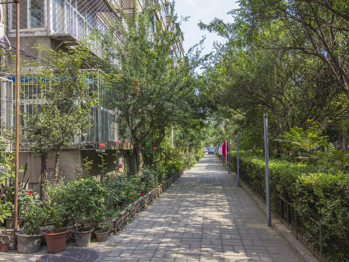 北京东安街头条小区_东安街头条小区null