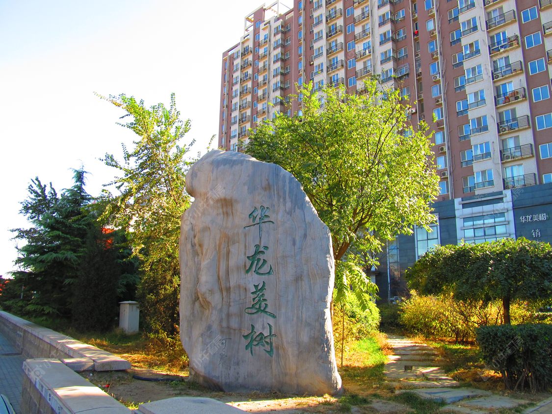 北京华龙美树小区_华龙美树小区null