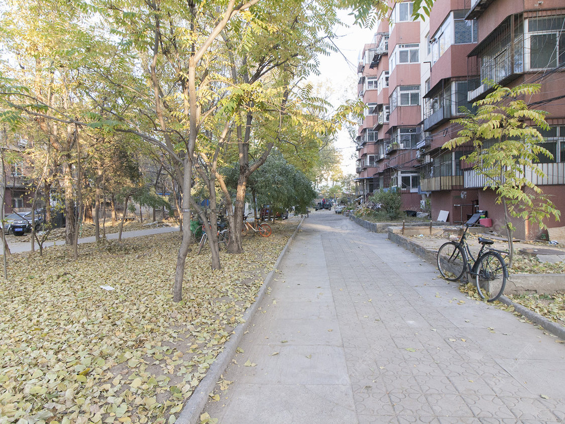 北京八里桥南院小区_八里桥南院小区null