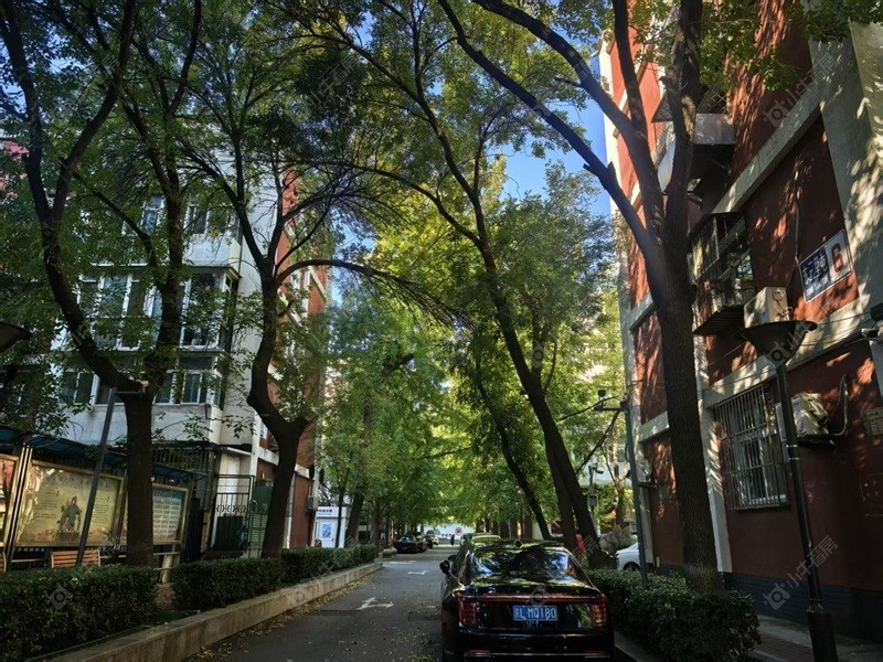 北京三里屯东小区_三里屯东小区null