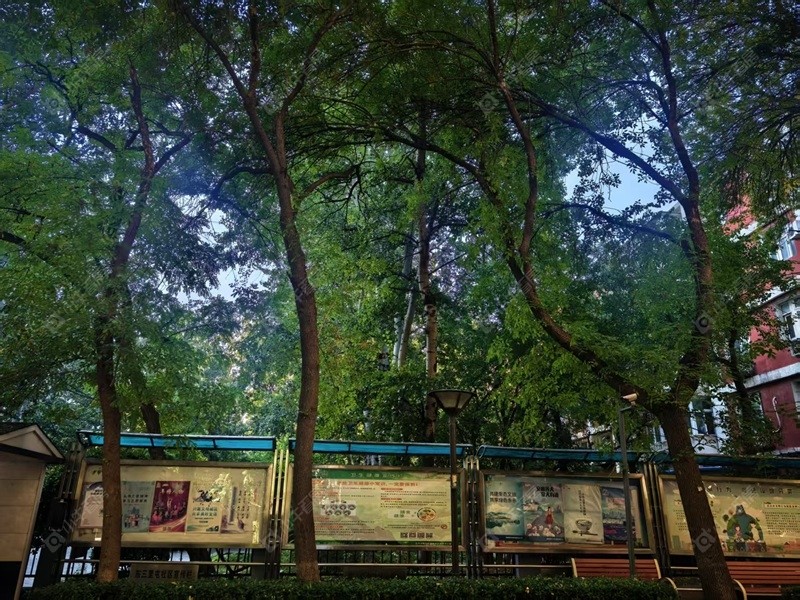 北京三里屯东小区_三里屯东小区null