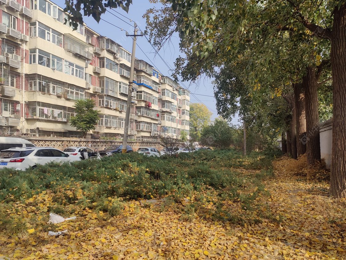 北京苗圃宿舍小区_苗圃宿舍小区null