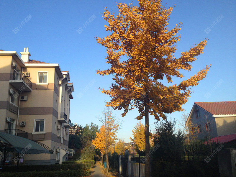 北京龙城花园北二区小区_龙城花园北二区小区null