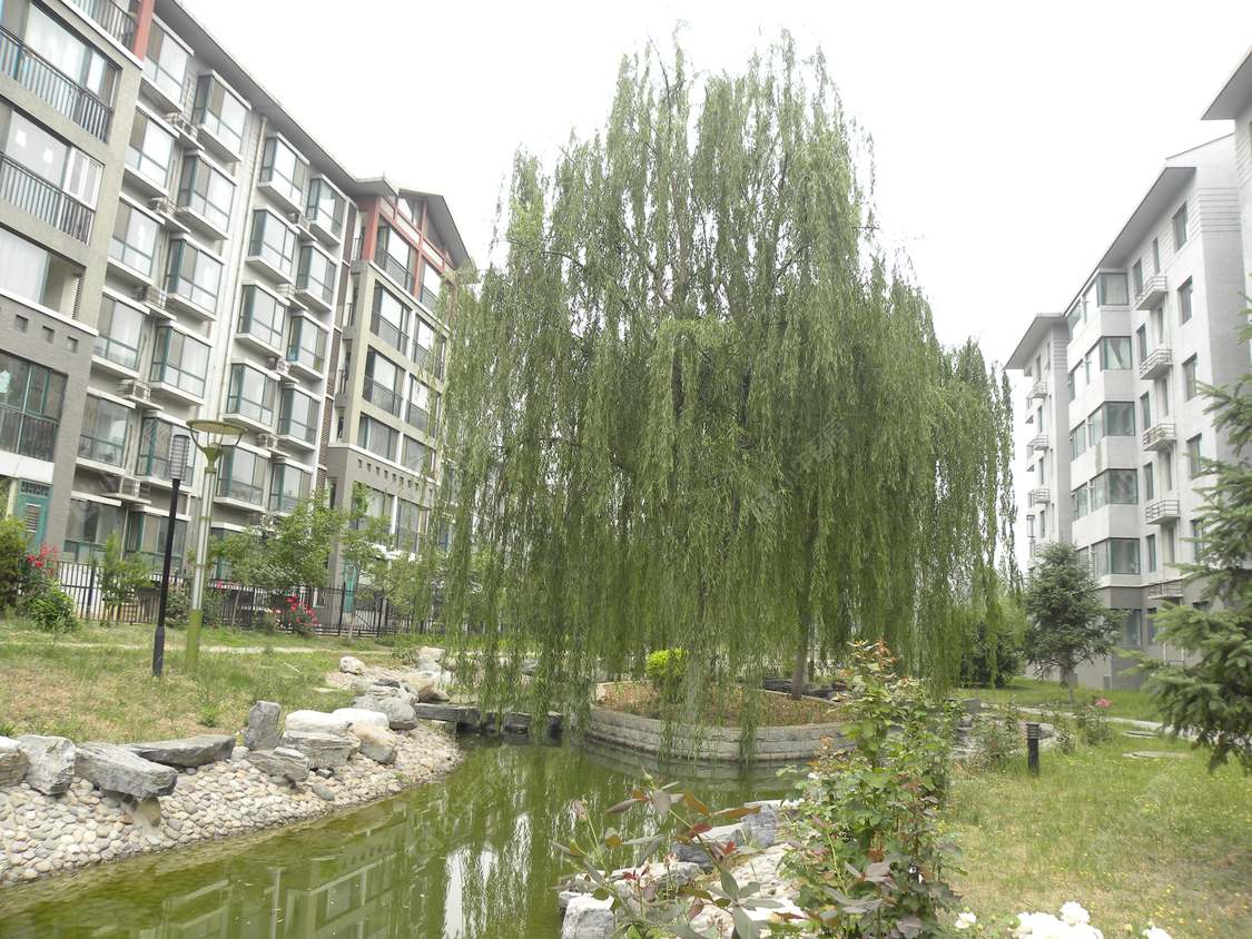 北京腾龙家园五区小区_腾龙家园五区小区null