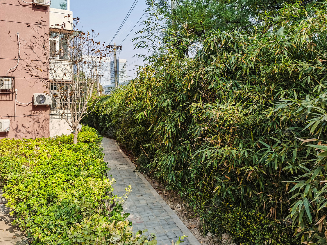 北京成府路35号院小区_成府路35号院小区null