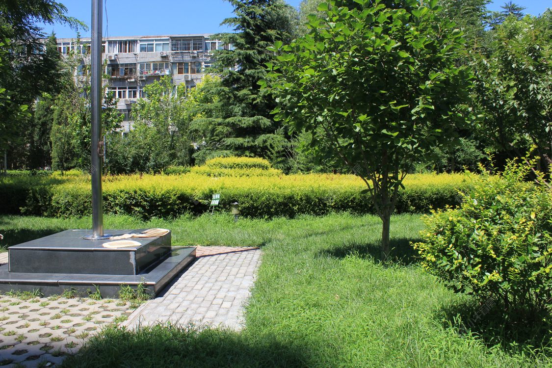 北京大龙公寓小区_大龙公寓小区null