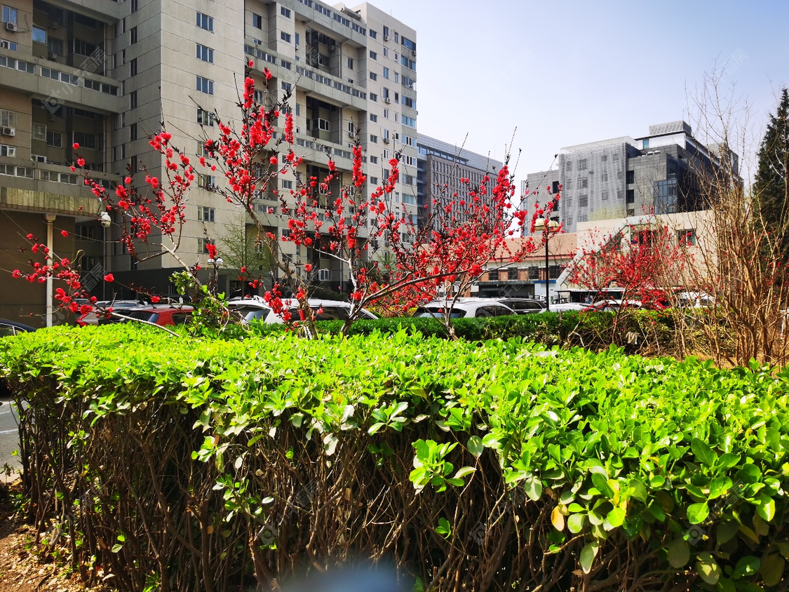北京北三环中路46号院小区_北三环中路46号院小区null