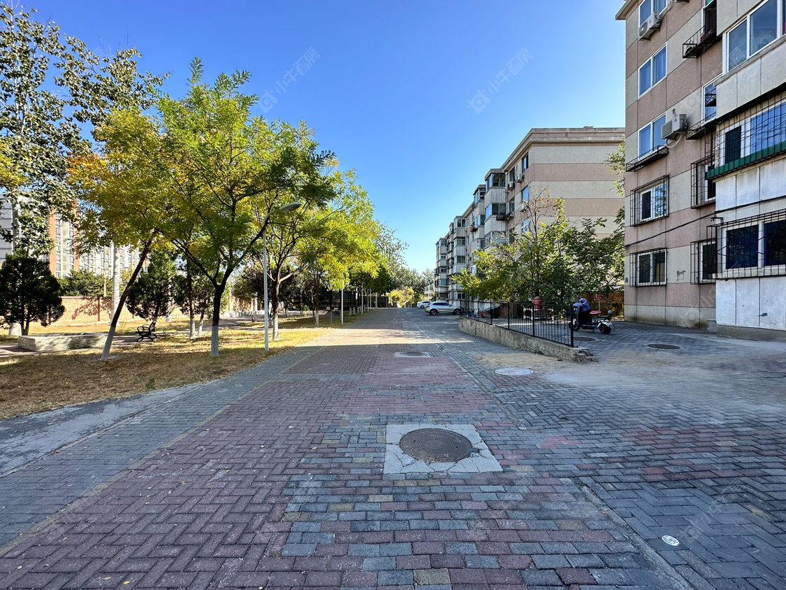 北京泳池路小区_泳池路小区null