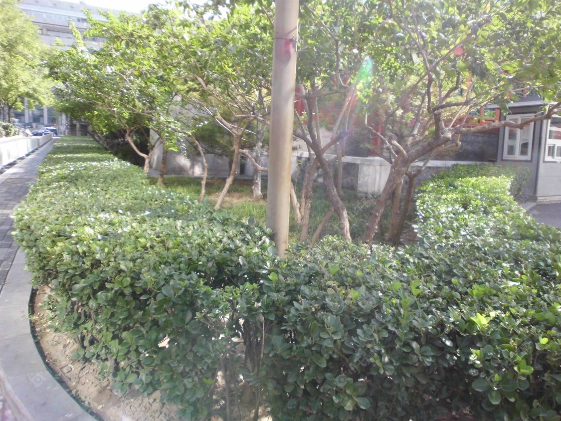 北京投资广场小区_小牛看房