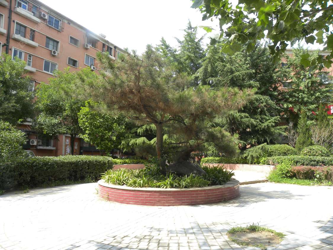 北京二七北厂小区_小牛看房