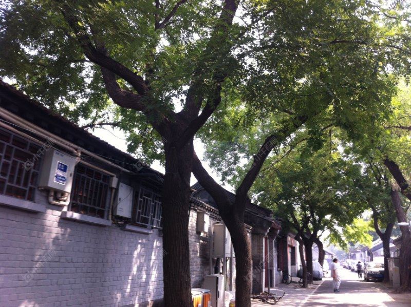 北京西四北四条小区_小牛看房
