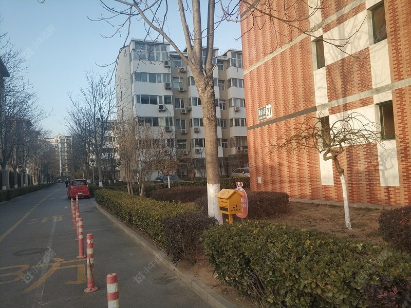 北京白露雅园东区小区_白露雅园东区小区null