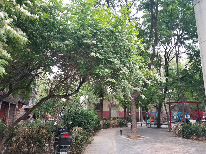 北京广渠门外大街路北区小区_广渠门外大街路北区小区null