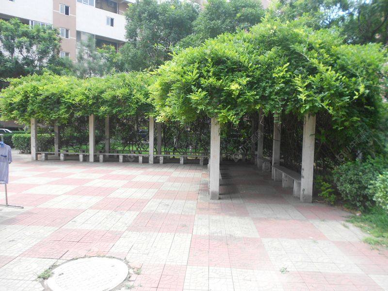 北京北苑家园紫绶园小区_北苑家园紫绶园小区null