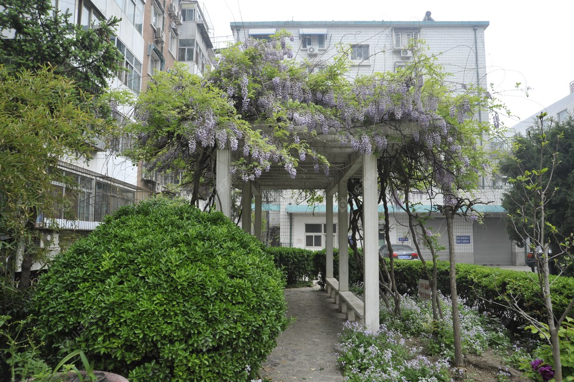 北京双玉中街43号院小区_双玉中街43号院小区null