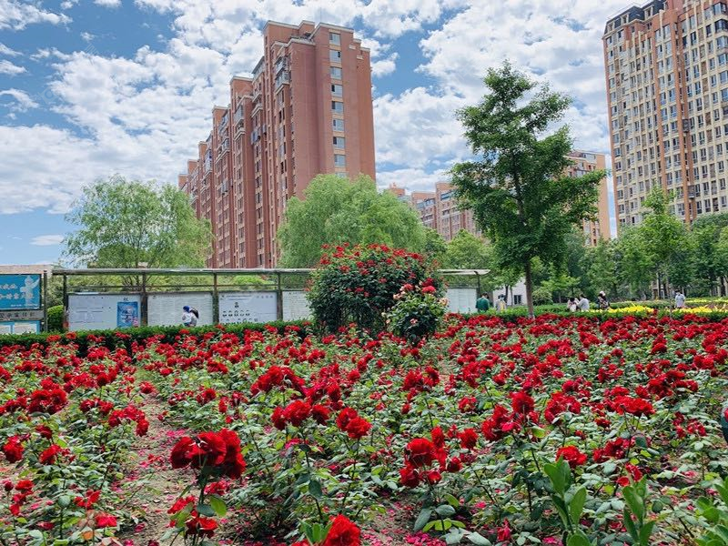 北京万年花城三期小区_万年花城三期小区null