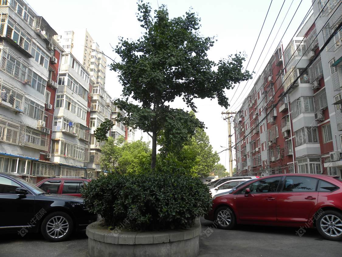 北京十一教工楼小区_十一教工楼小区null